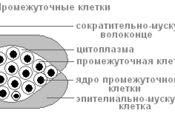 Ссылка кракен официальная тор
