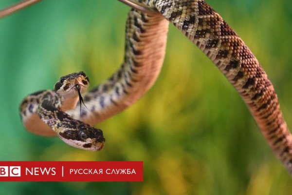Kra50.at Вход на сайт главная страница