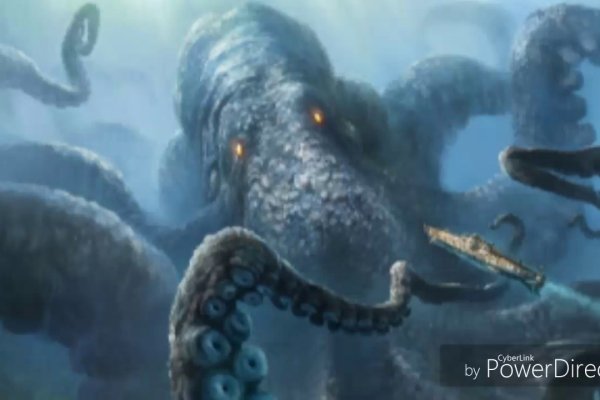Kraken 24 top
