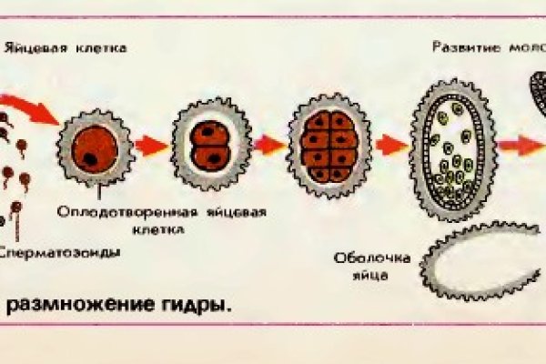 Ссылка на kraken торговая площадка