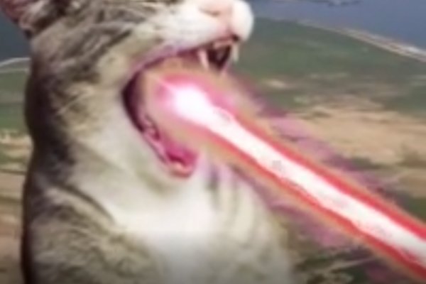 Craken что это