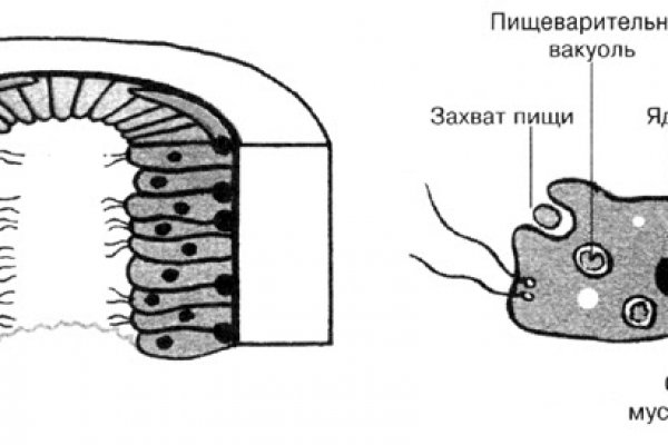 Kraken ссылки актуальные 2025 г