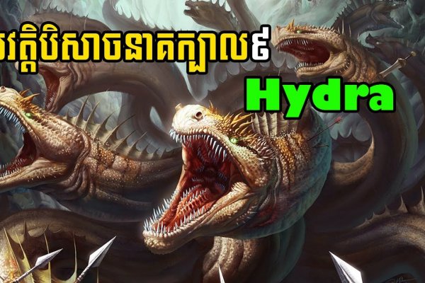 Актуальные ссылки на кракен тор