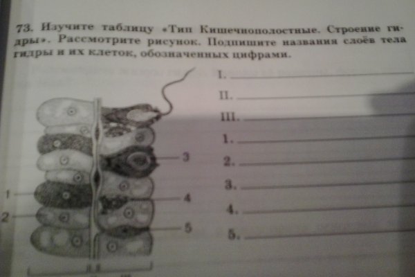 Рабочее зеркало на кракен