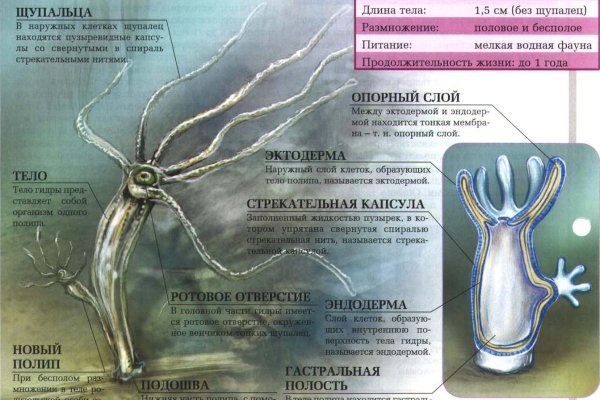 Рабочая ссылка на кракен