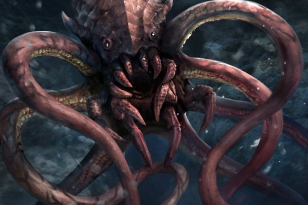 Kraken 19 at